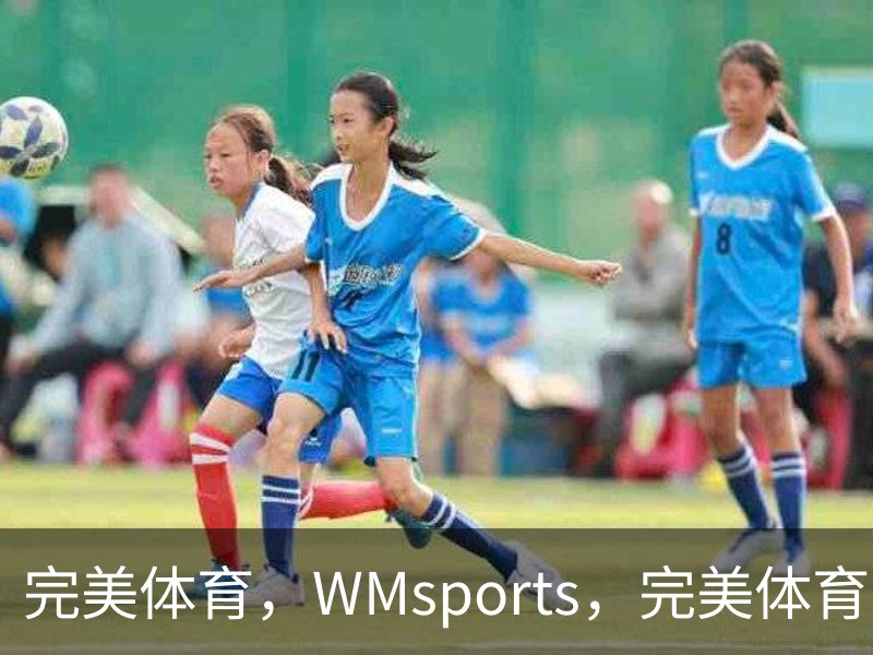 完美体育，WMsports，完美体育官方，完美体育平台，完美体育下载简介